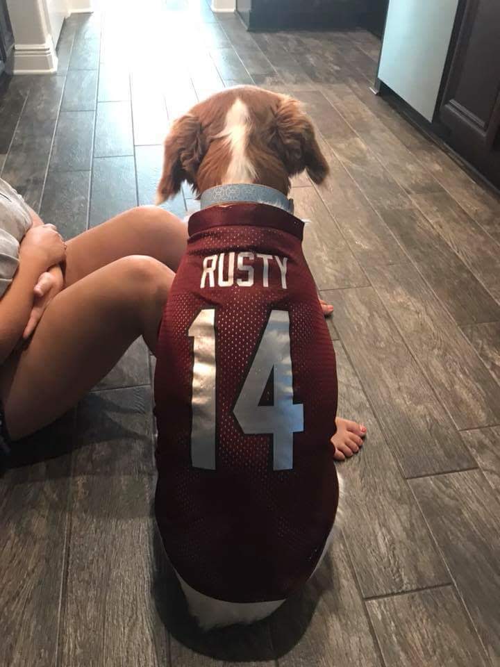 Custom Glitter Football Jersey for Dogs