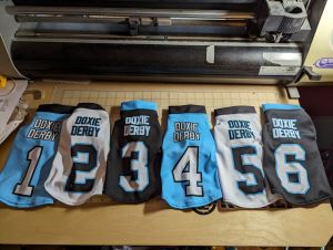 Doxie Derby Jerseys for Carolina Panthers' Halftime Race - Click Image to Close
